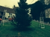 x06_Its up and ready to decorate