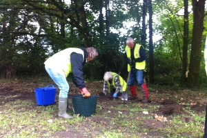 2015 Spring Bulb Planting