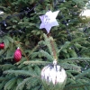 village-christmas-tree-2018 (4)