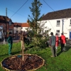 2019-tree-01