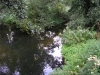 river