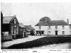 the-green-1904