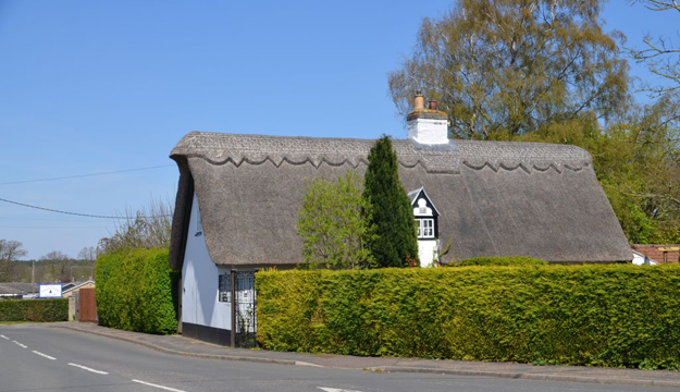 Rosemary Cottage, a thatched white cottage in Mundford behind a tall green hedge under a clear blue sky