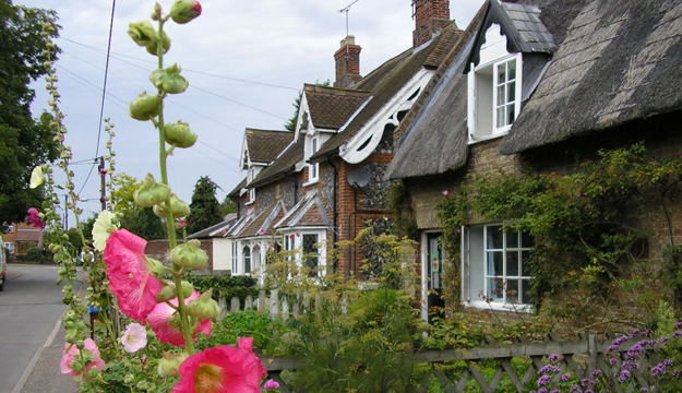 Row of thatched cottages on a Mundford lane, fronted by pink hollyhocks in a cottage garden